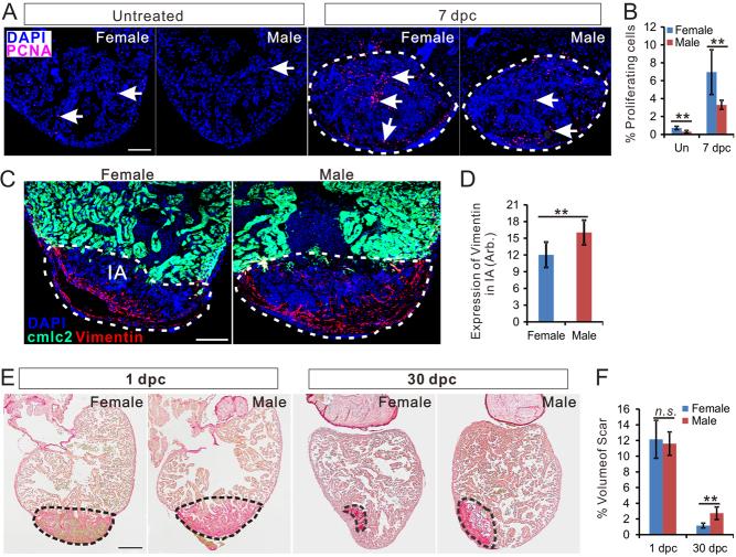 https://cdn.ncbi.nlm.nih.gov/pmc/blobs/969f/7040496/0d67ab977d2e/JOE-19-0413fig1.jpg