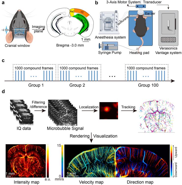 https://cdn.ncbi.nlm.nih.gov/pmc/blobs/96a1/11424966/825d9cdad007/gr1.jpg