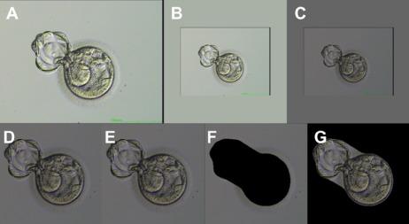 https://cdn.ncbi.nlm.nih.gov/pmc/blobs/96a1/7192535/a76097f95fbd/deaa013f1.jpg