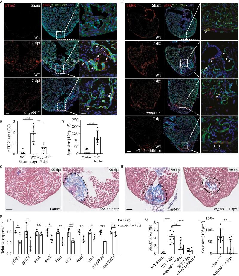 https://cdn.ncbi.nlm.nih.gov/pmc/blobs/96a2/10166170/e6027d3e1ec1/pwac010_fig4.jpg
