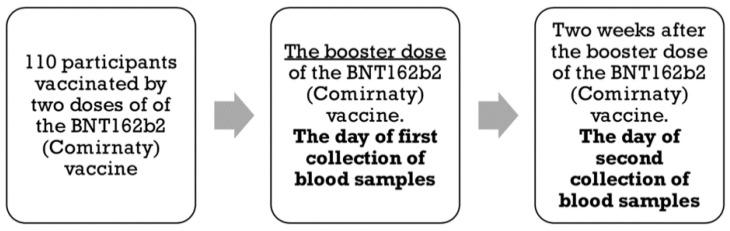 https://cdn.ncbi.nlm.nih.gov/pmc/blobs/96a6/9029317/3ed235166557/vaccines-10-00552-g001.jpg