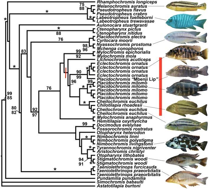 https://cdn.ncbi.nlm.nih.gov/pmc/blobs/96a8/6263179/b1145d1b028d/12862_2018_1296_Fig4_HTML.jpg