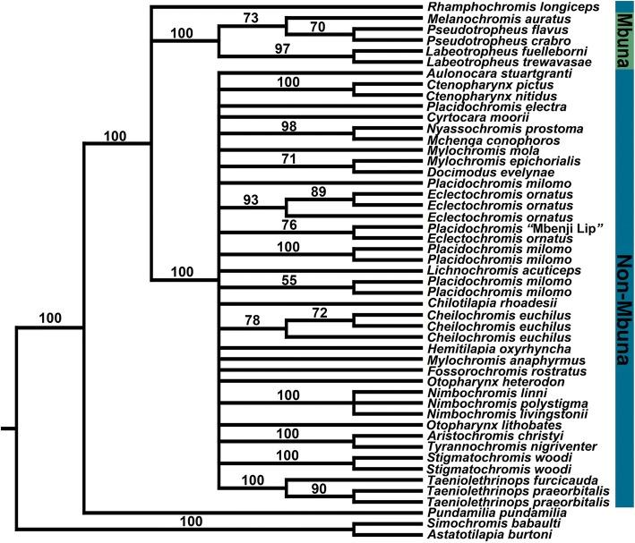 https://cdn.ncbi.nlm.nih.gov/pmc/blobs/96a8/6263179/fd6bc9ff10cf/12862_2018_1296_Fig3_HTML.jpg
