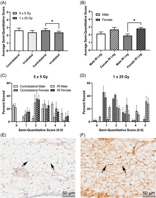 https://cdn.ncbi.nlm.nih.gov/pmc/blobs/96a9/9790380/bb719c2c8d77/JOR-40-2586-g005.jpg