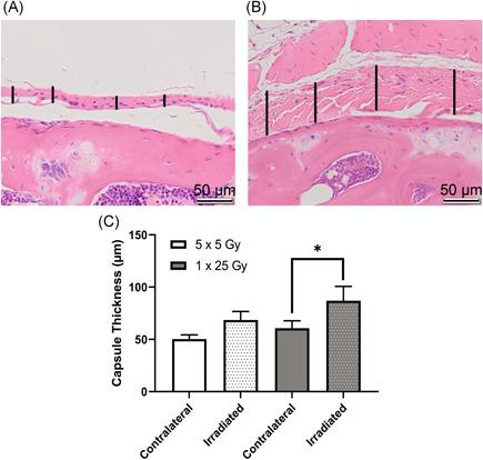 https://cdn.ncbi.nlm.nih.gov/pmc/blobs/96a9/9790380/cefb6f154ec6/JOR-40-2586-g003.jpg