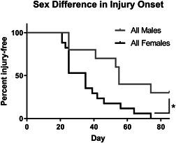 https://cdn.ncbi.nlm.nih.gov/pmc/blobs/96a9/9790380/db42a446e68f/JOR-40-2586-g002.jpg