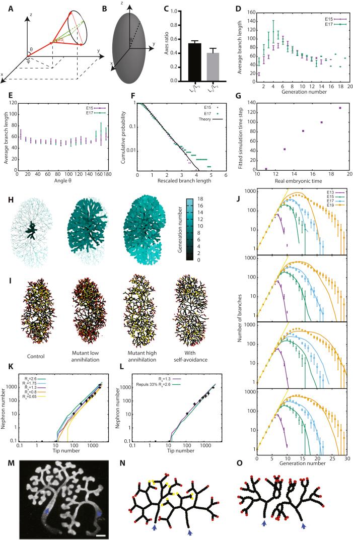 https://cdn.ncbi.nlm.nih.gov/pmc/blobs/96aa/5610190/066c87830ec6/figs6.jpg