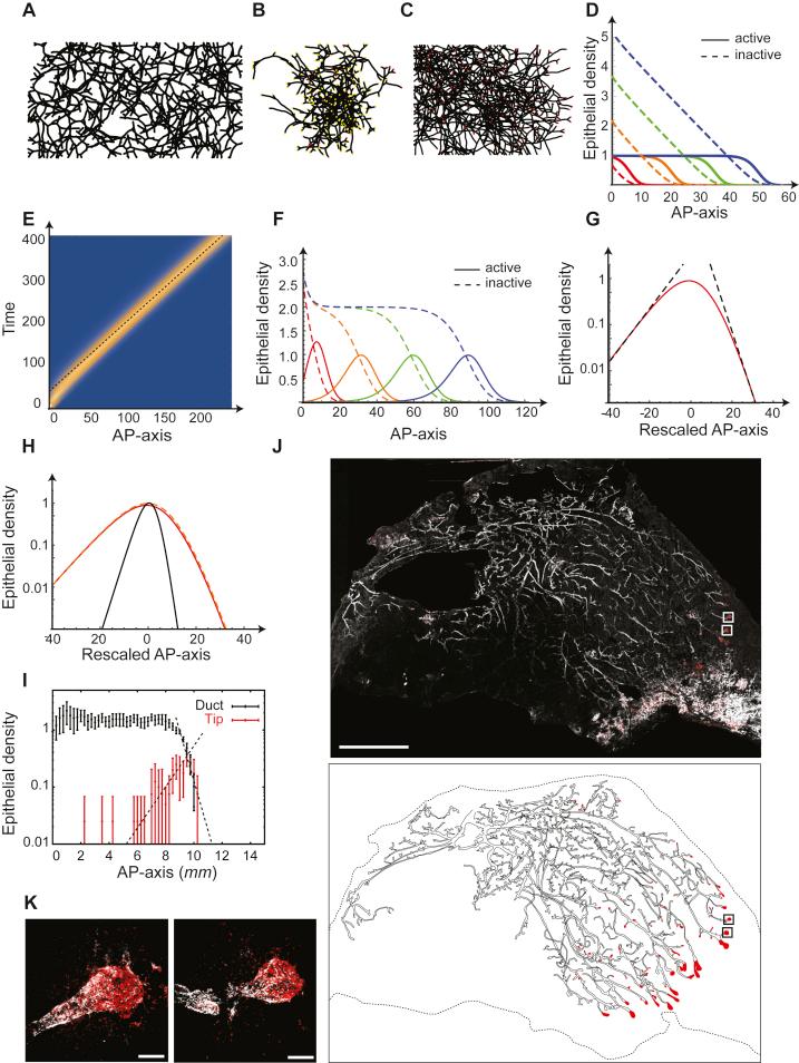 https://cdn.ncbi.nlm.nih.gov/pmc/blobs/96aa/5610190/81d6db8000f4/figs4.jpg