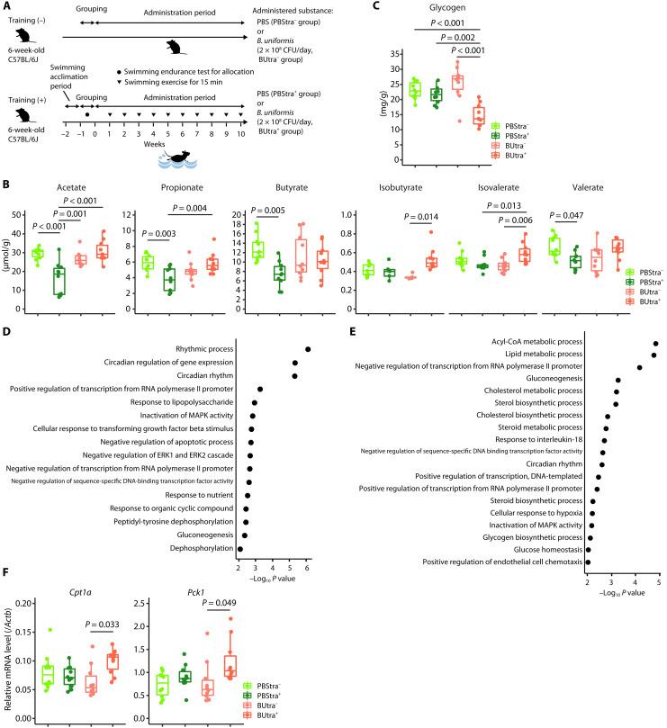 https://cdn.ncbi.nlm.nih.gov/pmc/blobs/96aa/9876546/049dd8eb03c9/sciadv.add2120-f5.jpg