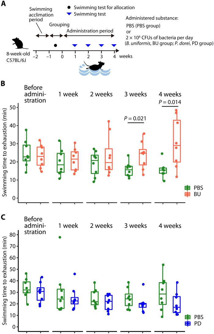 https://cdn.ncbi.nlm.nih.gov/pmc/blobs/96aa/9876546/a5403dd35728/sciadv.add2120-f4.jpg