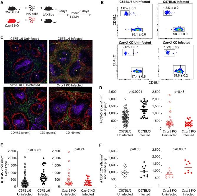 https://cdn.ncbi.nlm.nih.gov/pmc/blobs/96ab/12394980/38b4b057f01c/vkaf122f3.jpg