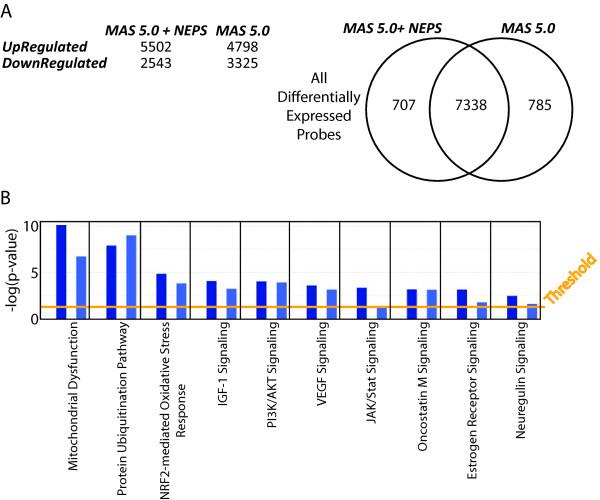 https://cdn.ncbi.nlm.nih.gov/pmc/blobs/96ae/2928167/f94bfc60c73b/1755-8794-3-32-3.jpg