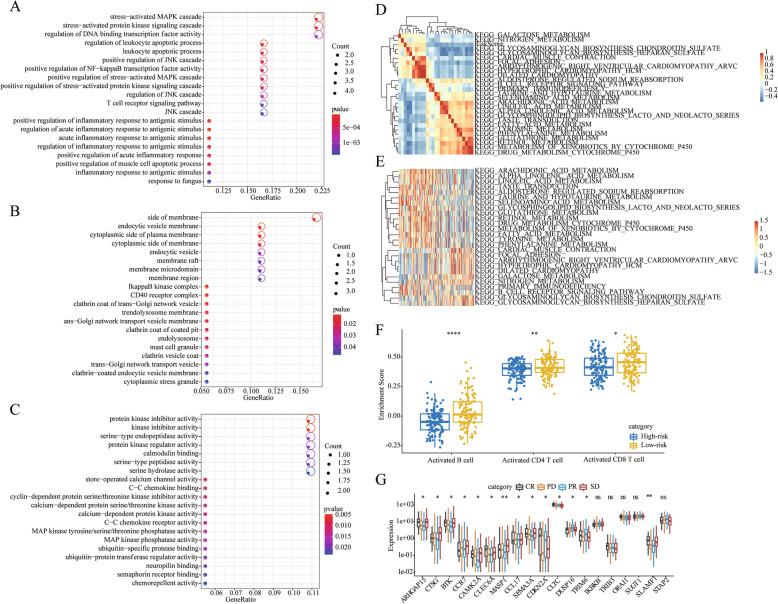 https://cdn.ncbi.nlm.nih.gov/pmc/blobs/96af/7574345/6ef8b1751a73/12885_2020_7489_Fig5_HTML.jpg