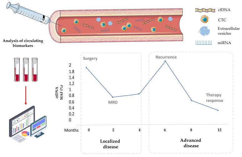 https://cdn.ncbi.nlm.nih.gov/pmc/blobs/96b0/8946652/49c38bff6aa6/cancers-14-01405-g001.jpg