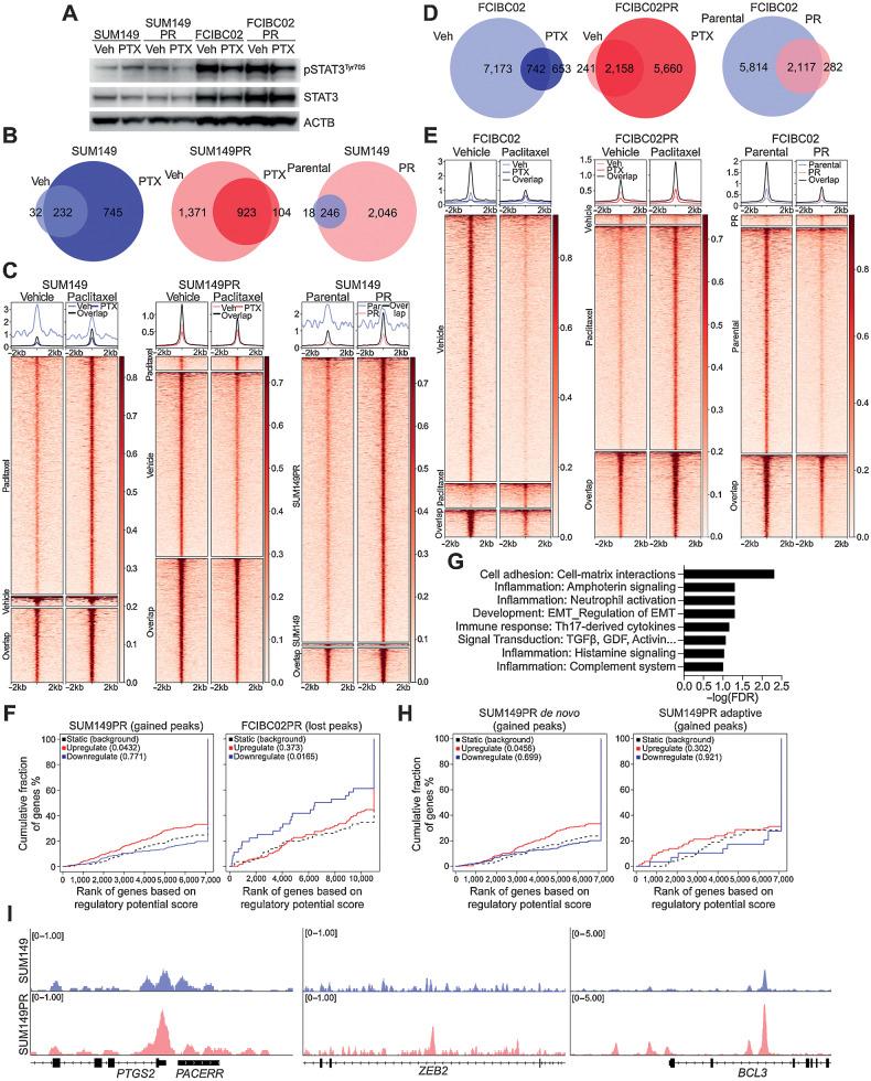 https://cdn.ncbi.nlm.nih.gov/pmc/blobs/96b0/9845989/a971a49177fc/264fig3.jpg