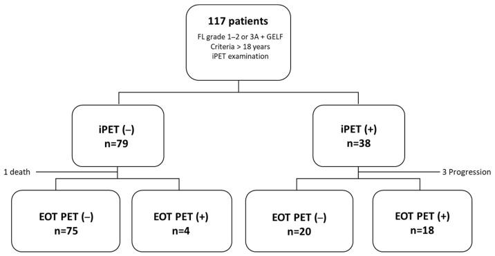 https://cdn.ncbi.nlm.nih.gov/pmc/blobs/96b1/11988115/4ee2837ba354/cancers-17-01065-g001.jpg