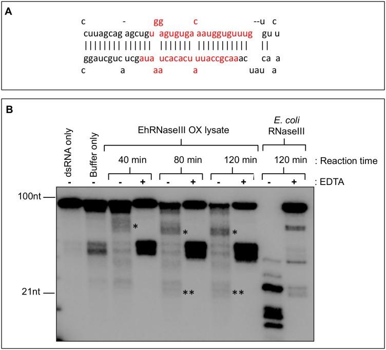https://cdn.ncbi.nlm.nih.gov/pmc/blobs/96b5/4521922/3a8269720475/pone.0133740.g002.jpg