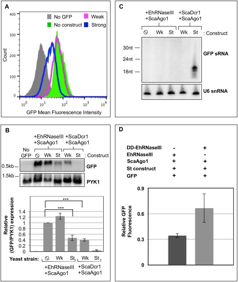 https://cdn.ncbi.nlm.nih.gov/pmc/blobs/96b5/4521922/d2645a1eb2ff/pone.0133740.g005.jpg
