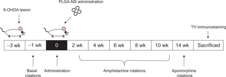https://cdn.ncbi.nlm.nih.gov/pmc/blobs/96b8/4043720/45b0e45dbb03/ijn-9-2677Fig1.jpg