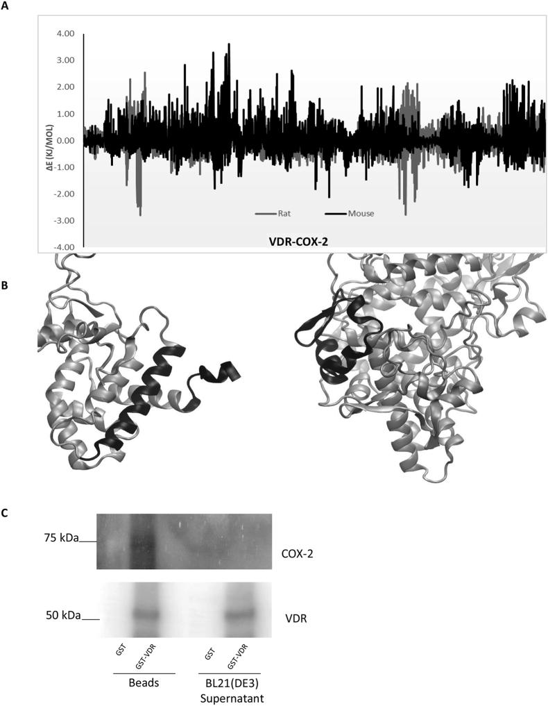 https://cdn.ncbi.nlm.nih.gov/pmc/blobs/96b8/7549067/a2adf4eaa90f/gr4.jpg