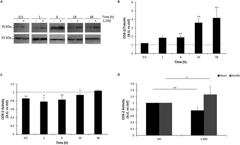 https://cdn.ncbi.nlm.nih.gov/pmc/blobs/96b8/7549067/d6c06199a6ec/gr3.jpg