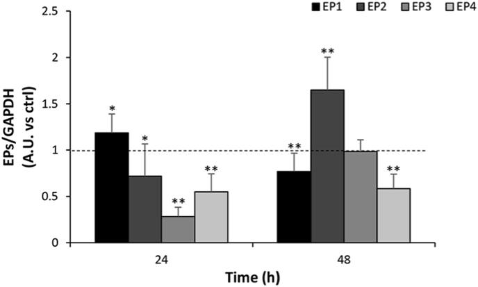 https://cdn.ncbi.nlm.nih.gov/pmc/blobs/96b8/7549067/e4b91758d838/gr5.jpg