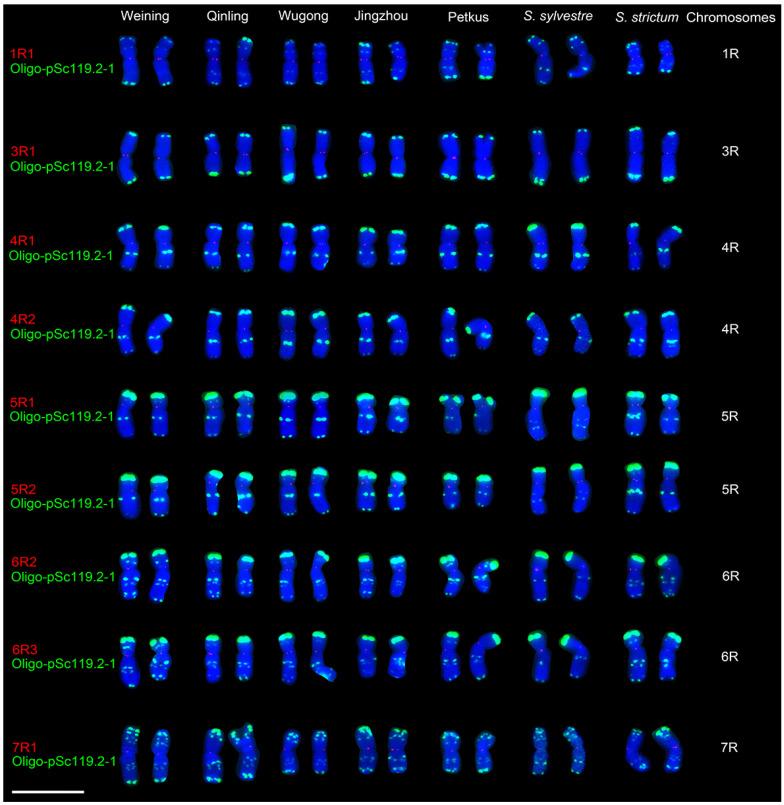 https://cdn.ncbi.nlm.nih.gov/pmc/blobs/96bc/9414614/48a9e9f479d8/plants-11-02117-g004.jpg