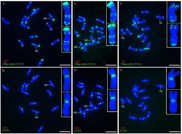 https://cdn.ncbi.nlm.nih.gov/pmc/blobs/96bc/9414614/87840c208ff5/plants-11-02117-g003.jpg