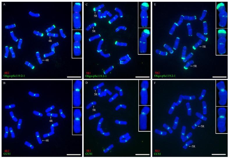 https://cdn.ncbi.nlm.nih.gov/pmc/blobs/96bc/9414614/f157d1f10b71/plants-11-02117-g002.jpg