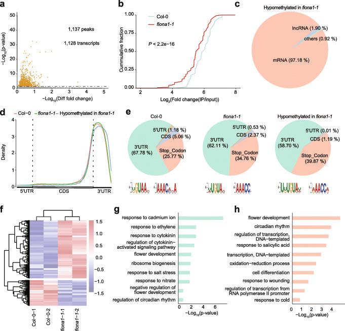 https://cdn.ncbi.nlm.nih.gov/pmc/blobs/96bf/8802475/07c40481fc83/13059_2022_2612_Fig5_HTML.jpg
