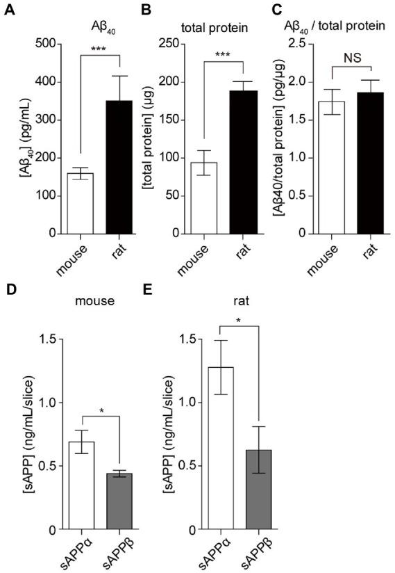 https://cdn.ncbi.nlm.nih.gov/pmc/blobs/96c2/9852844/3b25ab601ac0/fnmol-15-1068990-g005.jpg