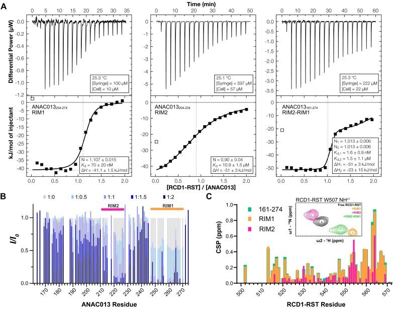 https://cdn.ncbi.nlm.nih.gov/pmc/blobs/96c3/11811731/4937bc949df0/gkaf065fig3.jpg