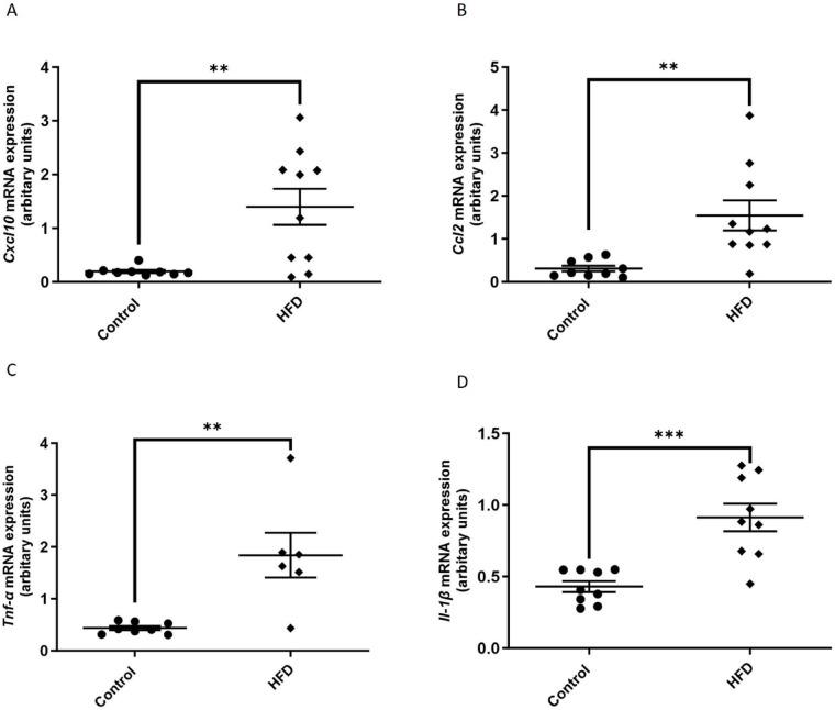 https://cdn.ncbi.nlm.nih.gov/pmc/blobs/96c3/12137631/16f993bddb01/41598_2025_2001_Fig7_HTML.jpg