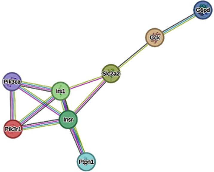 https://cdn.ncbi.nlm.nih.gov/pmc/blobs/96c3/12137631/26085081b839/41598_2025_2001_Fig3_HTML.jpg