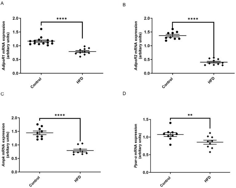 https://cdn.ncbi.nlm.nih.gov/pmc/blobs/96c3/12137631/76a5b42ed8d6/41598_2025_2001_Fig5_HTML.jpg