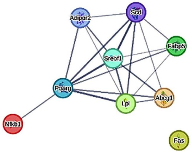 https://cdn.ncbi.nlm.nih.gov/pmc/blobs/96c3/12137631/c8b11984d218/41598_2025_2001_Fig2_HTML.jpg