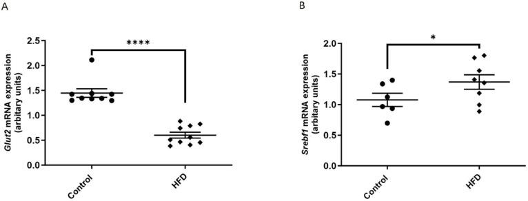 https://cdn.ncbi.nlm.nih.gov/pmc/blobs/96c3/12137631/df2da0fe5dfb/41598_2025_2001_Fig6_HTML.jpg