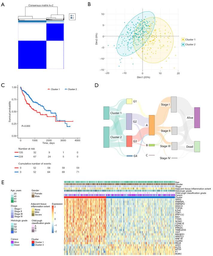 https://cdn.ncbi.nlm.nih.gov/pmc/blobs/96c7/11985180/86aeb4bfd6cf/tcr-14-03-1799-f2.jpg