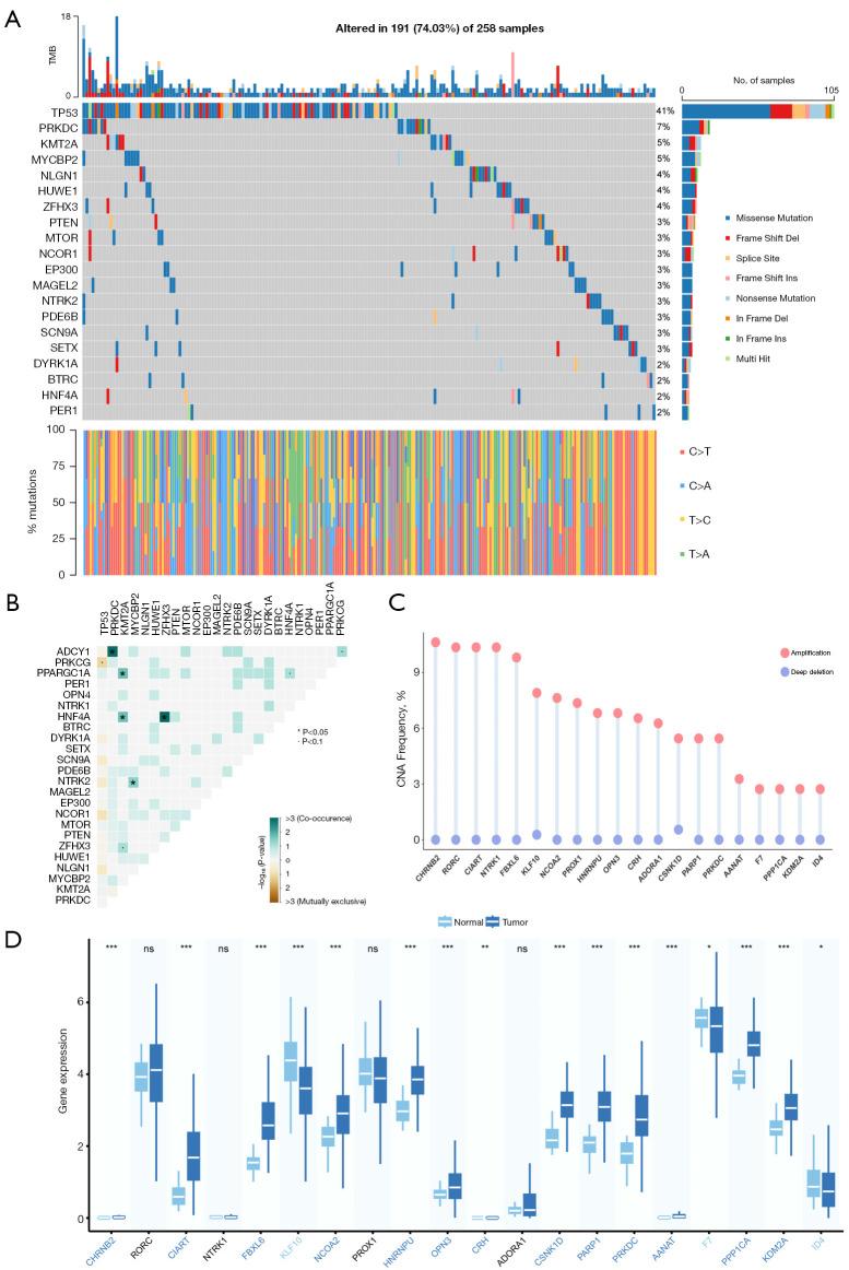 https://cdn.ncbi.nlm.nih.gov/pmc/blobs/96c7/11985180/ac79140267e2/tcr-14-03-1799-f1.jpg