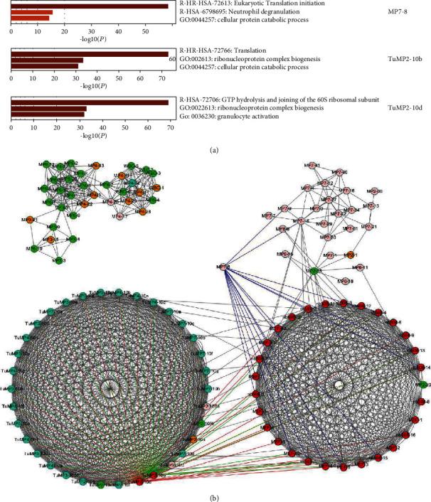https://cdn.ncbi.nlm.nih.gov/pmc/blobs/96c7/8164540/61c3ff4c1781/BMRI2021-9919080.005.jpg