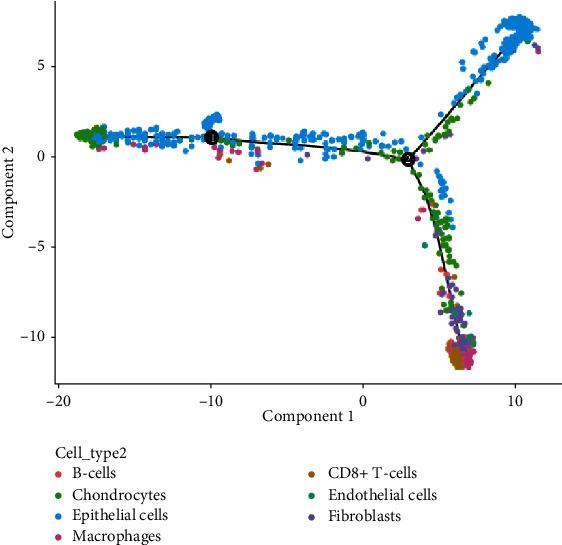 https://cdn.ncbi.nlm.nih.gov/pmc/blobs/96c7/8164540/f8c56dd3c260/BMRI2021-9919080.008.jpg
