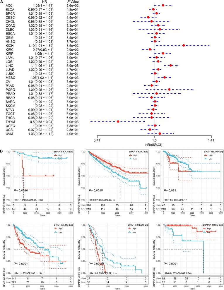 https://cdn.ncbi.nlm.nih.gov/pmc/blobs/96c9/7667264/c4840ebbcef4/fmolb-07-573619-g003.jpg
