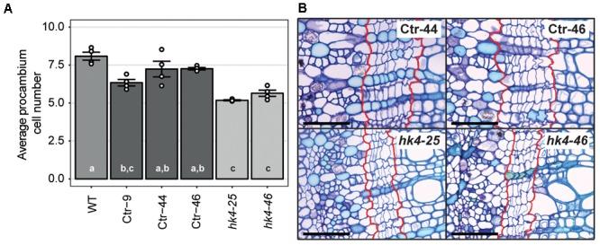 https://cdn.ncbi.nlm.nih.gov/pmc/blobs/96ca/5845686/12ff910adeb1/fpls-09-00284-g004.jpg