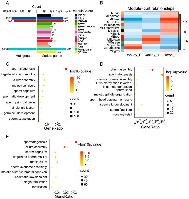https://cdn.ncbi.nlm.nih.gov/pmc/blobs/96ca/9777602/6a282065af0a/genes-13-02339-g003.jpg