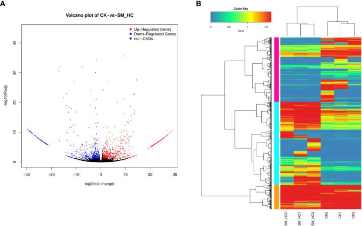 https://cdn.ncbi.nlm.nih.gov/pmc/blobs/96cc/9989771/36d4d1ff7775/fcimb-13-1093432-g005.jpg