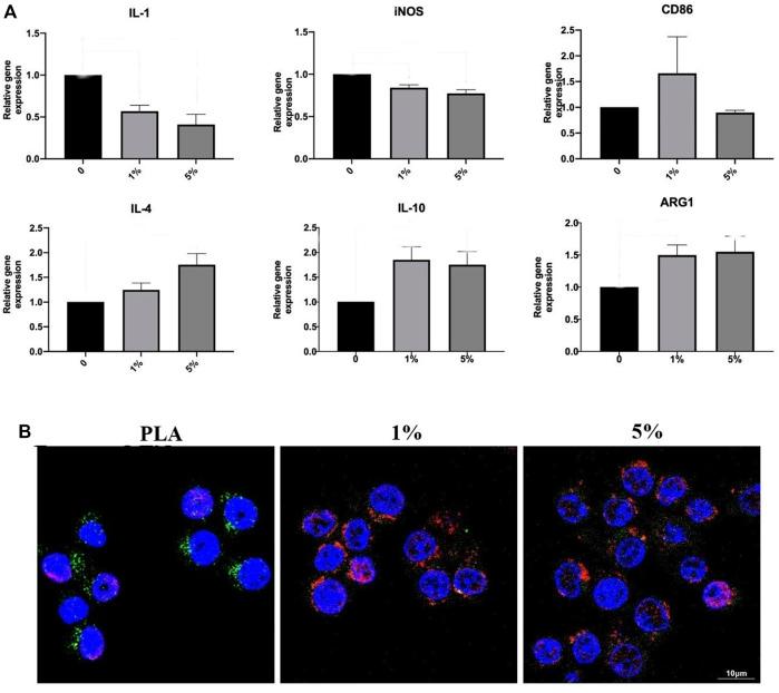 https://cdn.ncbi.nlm.nih.gov/pmc/blobs/96ce/9358041/eb36b5fc7ca9/fbioe-10-947521-g005.jpg