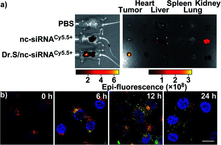 https://cdn.ncbi.nlm.nih.gov/pmc/blobs/96cf/9057208/207ad4982c86/d0ra06444k-f3.jpg