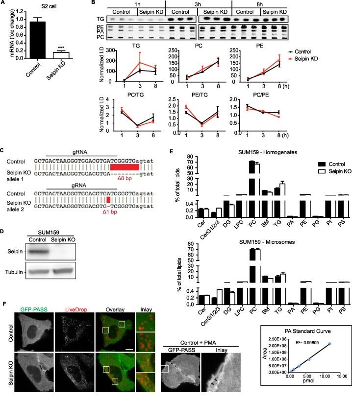 https://cdn.ncbi.nlm.nih.gov/pmc/blobs/96d1/5035145/3bc9da9d9637/elife-16582-fig1-figsupp1.jpg
