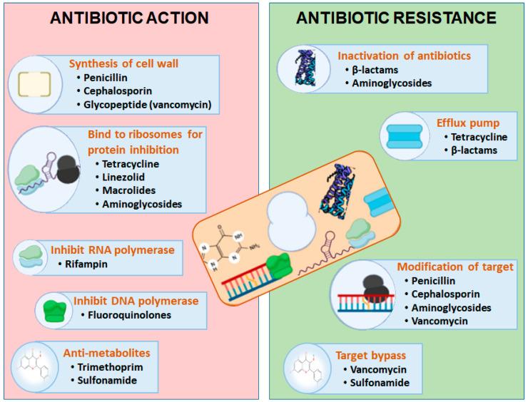 https://cdn.ncbi.nlm.nih.gov/pmc/blobs/96d2/10675245/269a2c39696e/pharmaceuticals-16-01615-g002.jpg