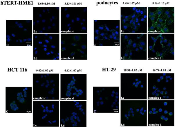 https://cdn.ncbi.nlm.nih.gov/pmc/blobs/96d2/8466412/c7f128ca1ecc/molecules-26-05534-g002.jpg